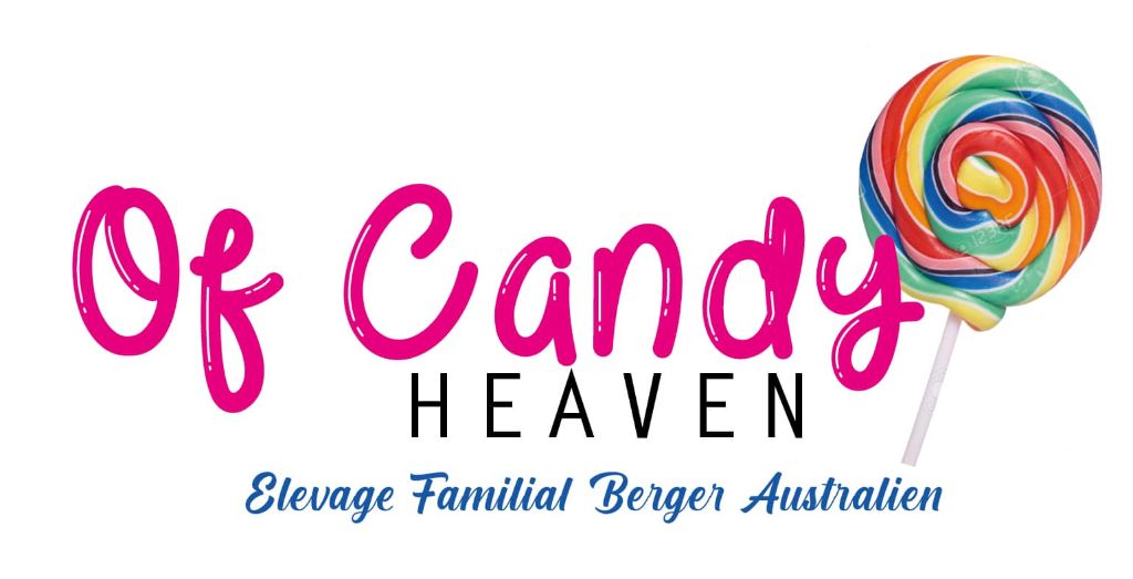 Of Candy Heaven - Création du logo officiel